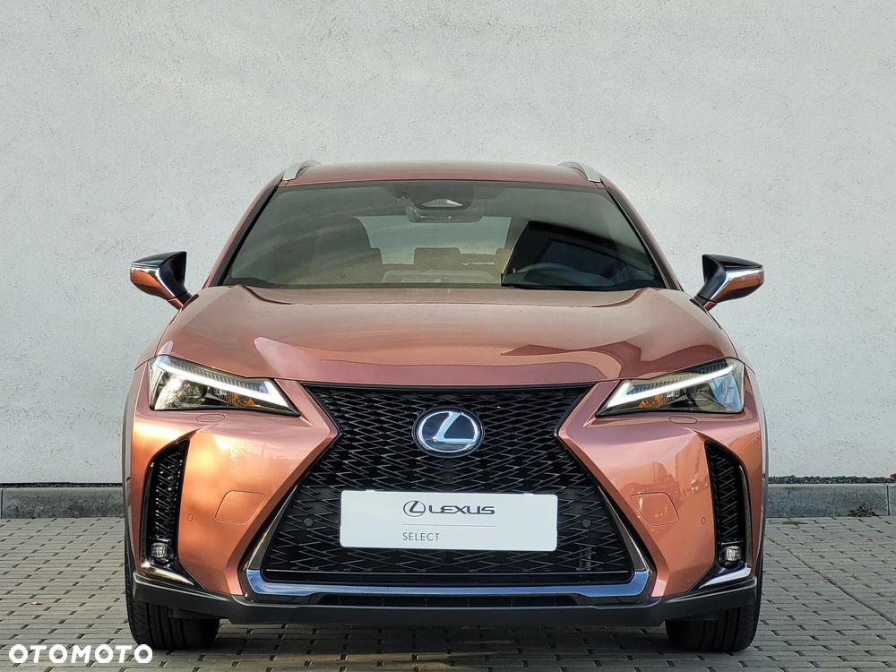 Lexus UX 300h F Sport Design - 7