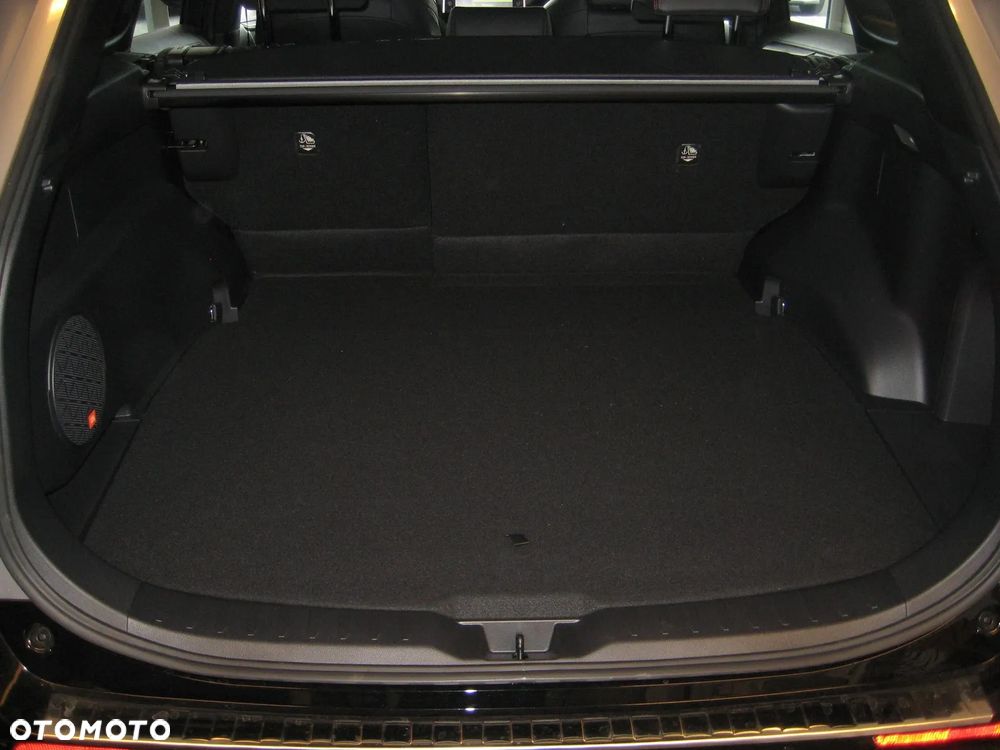 Toyota RAV4 2.5 Plug-In Hybrid Executive 4x4 - 23