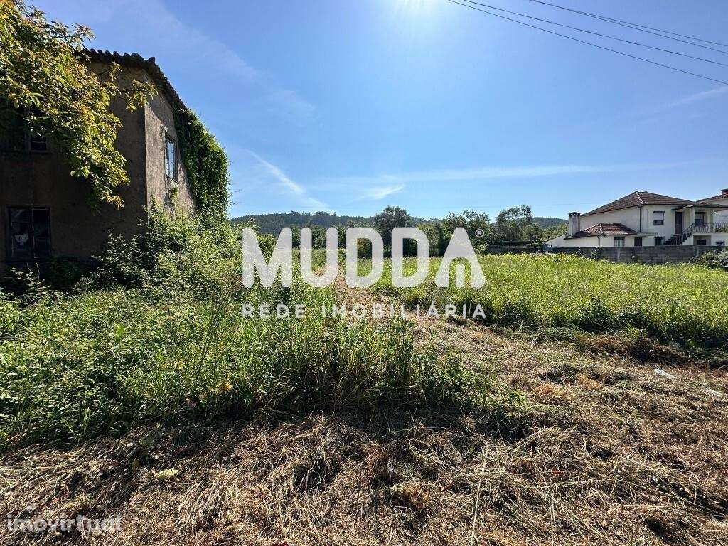 Ruína com terrenos, Branca, Albergaria-a-Velha - Grande imagem: 4/19