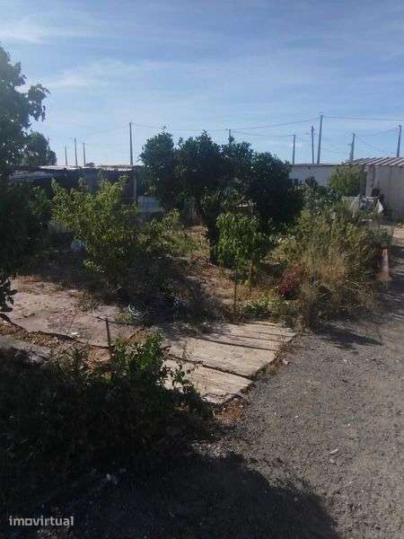 Terreno com benfeiturias - Grande imagem: 5/6