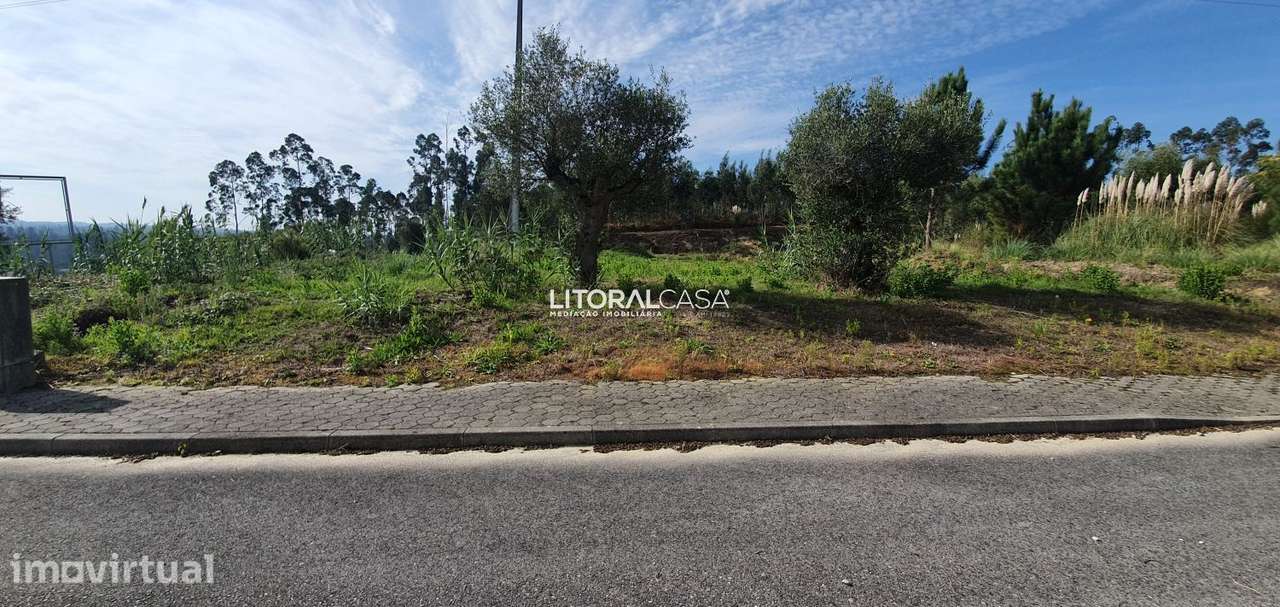 Lote Terreno para Moradia Isolada - Mamodeiro - Grande imagem: 5/12