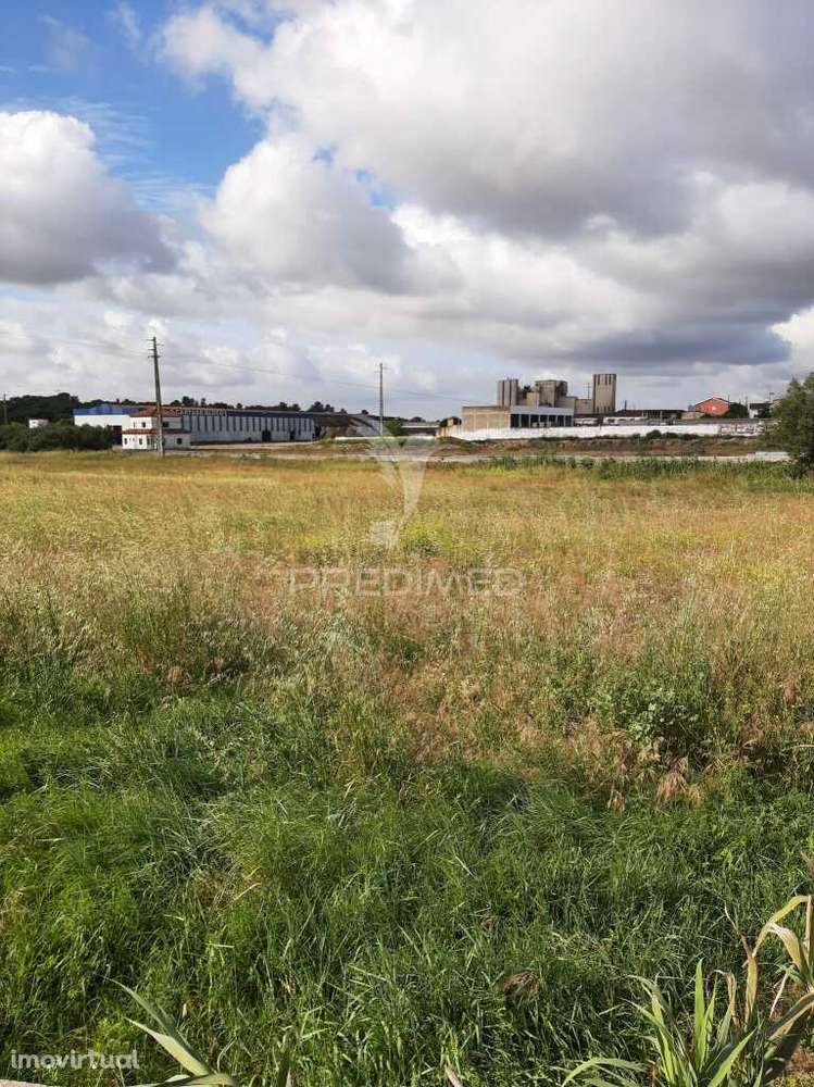 Terreno Misto Vila Chã de Ourique / Cartaxo - Grande imagem: 4/23