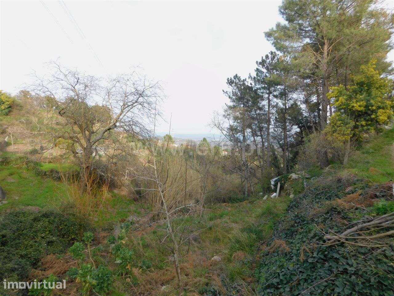 Terreno para Construção / Covilhã, Covilhã