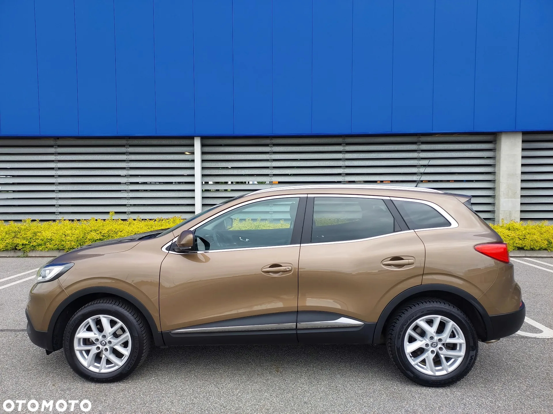 Renault Kadjar 1.6 dCi Energy Limited - 3