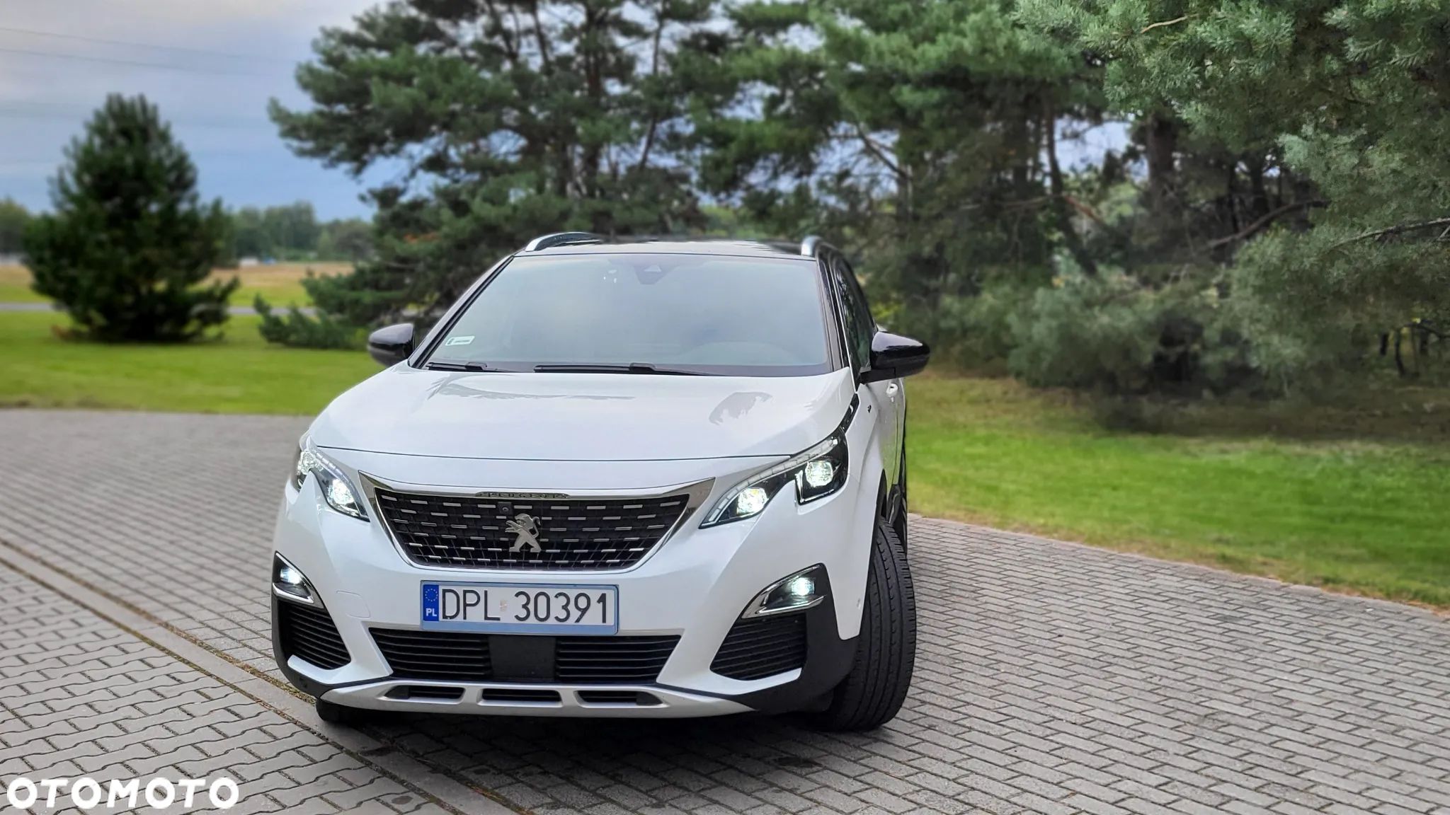 Peugeot 3008 1.2 PureTech GT S&S - 1