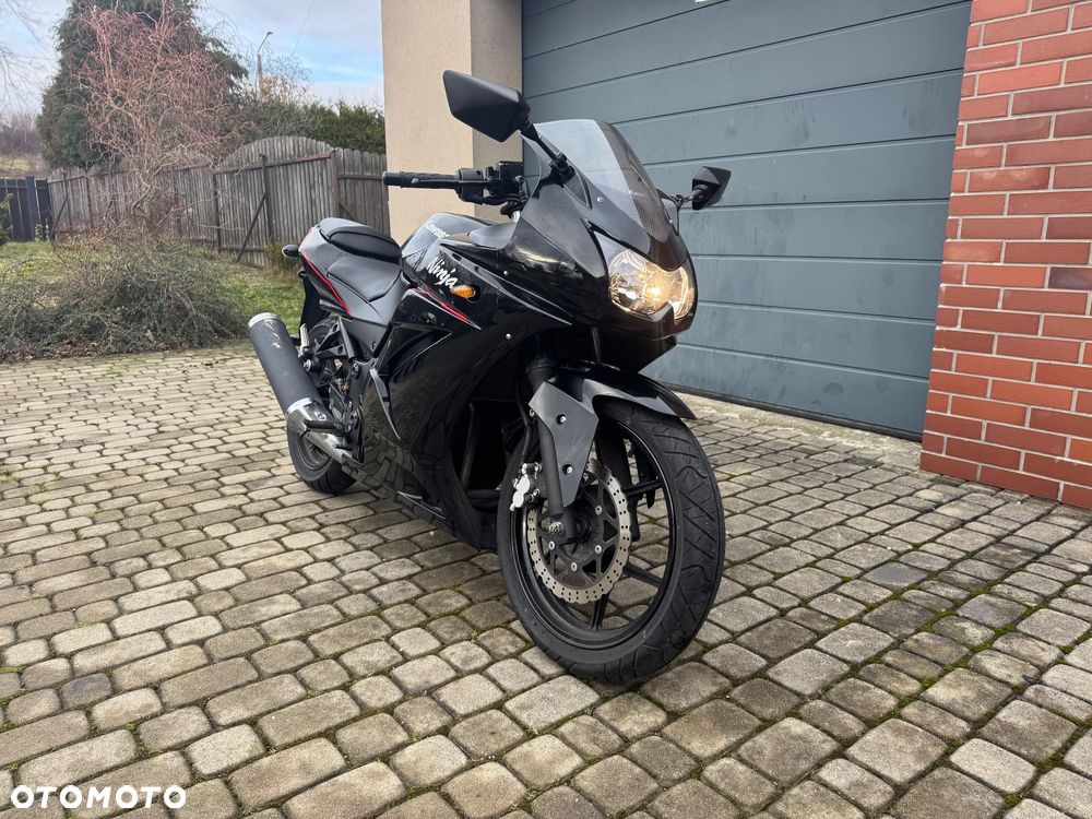 Kawasaki Ninja 250R - 6