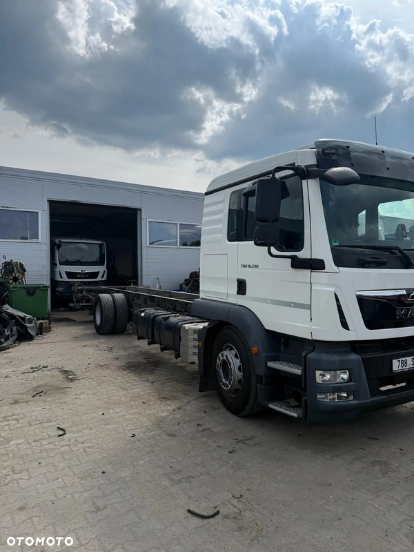MAN TGM 18.290 // 2017r // Thermoking T800R