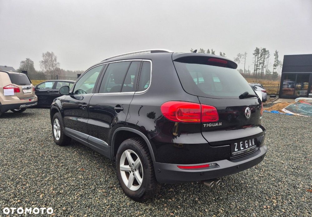 Volkswagen Tiguan - 29