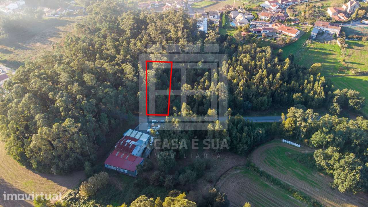 Lote com projeto aprovado para armazém em Cucujães - Grande imagem: 3/13