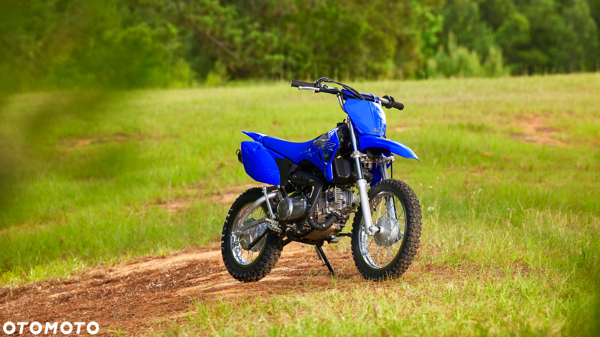 Yamaha TTR - 2