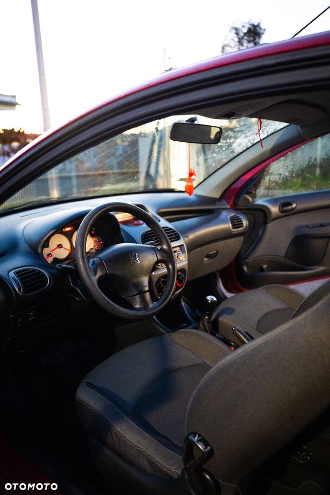 Peugeot 206 - 16