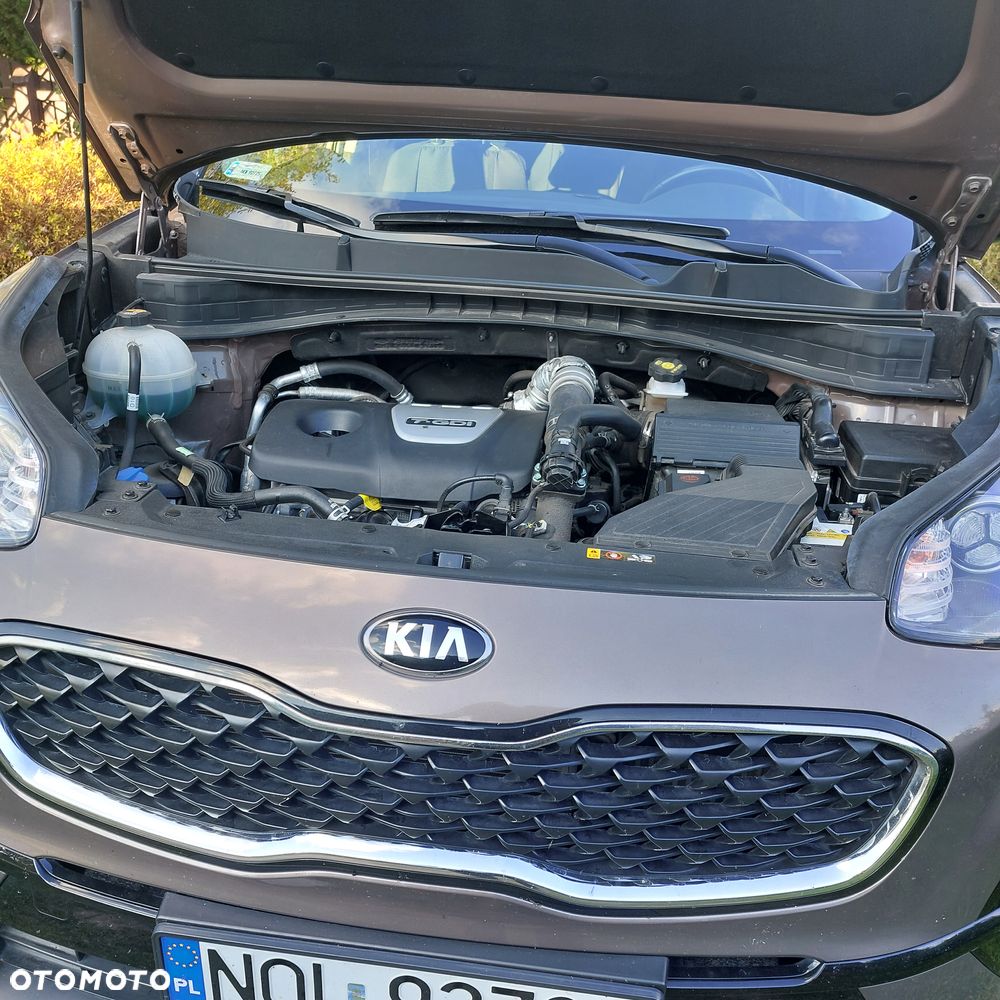 Kia Sportage 1.6 T-GDI Black Edition 4WD - 2