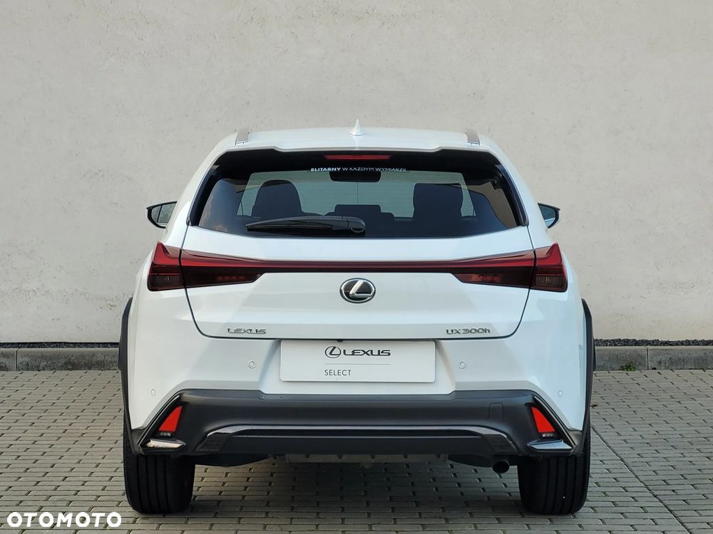 Lexus UX 300h F Sport Design - 9