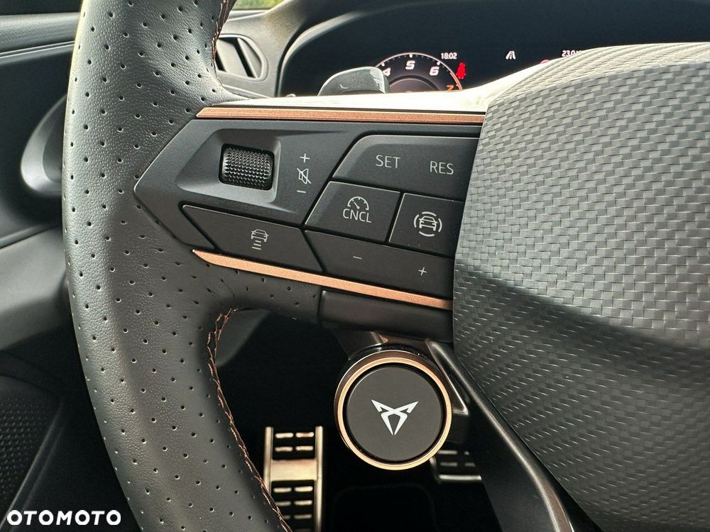 Cupra Terramar - 12