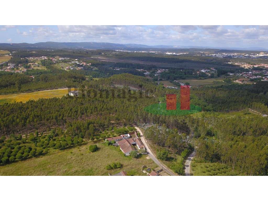 Terreno com Construção de Apoio Agrícola***RIOMAGIC*** - Grande imagem: 4/13
