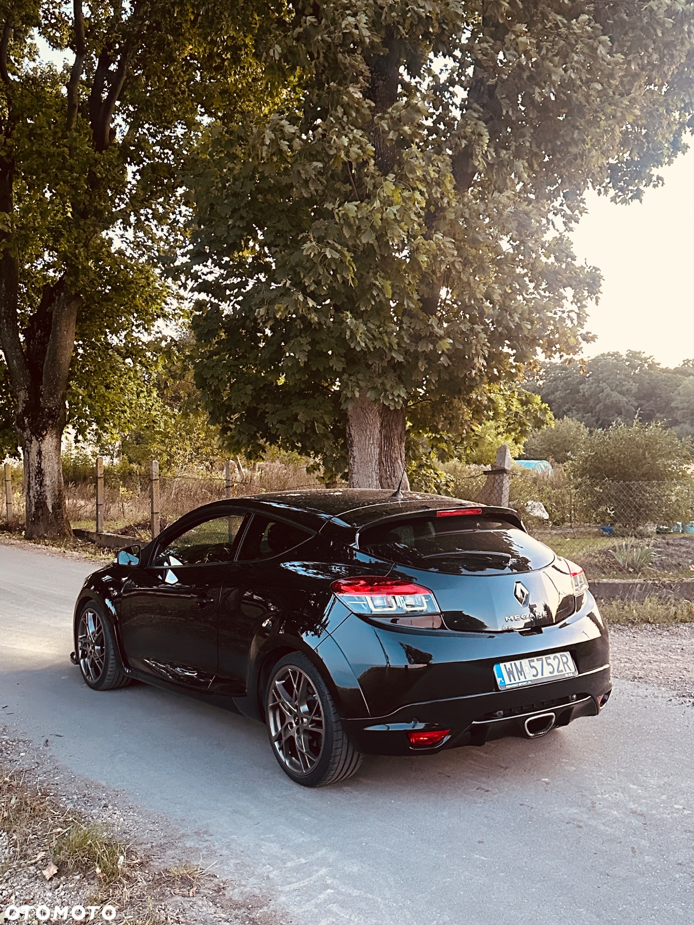 Renault Megane 2.0 16V R.S - 8
