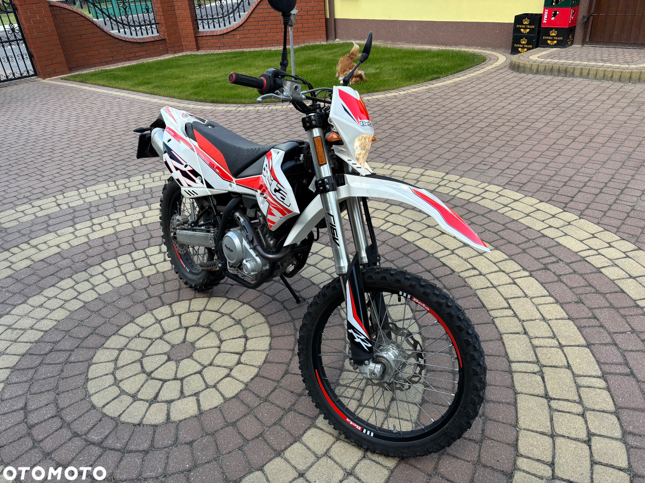 Beta RR - 6