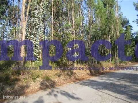 Terreno em Pigeiros, Santa Maria da Feira - Grande imagem: 5/8