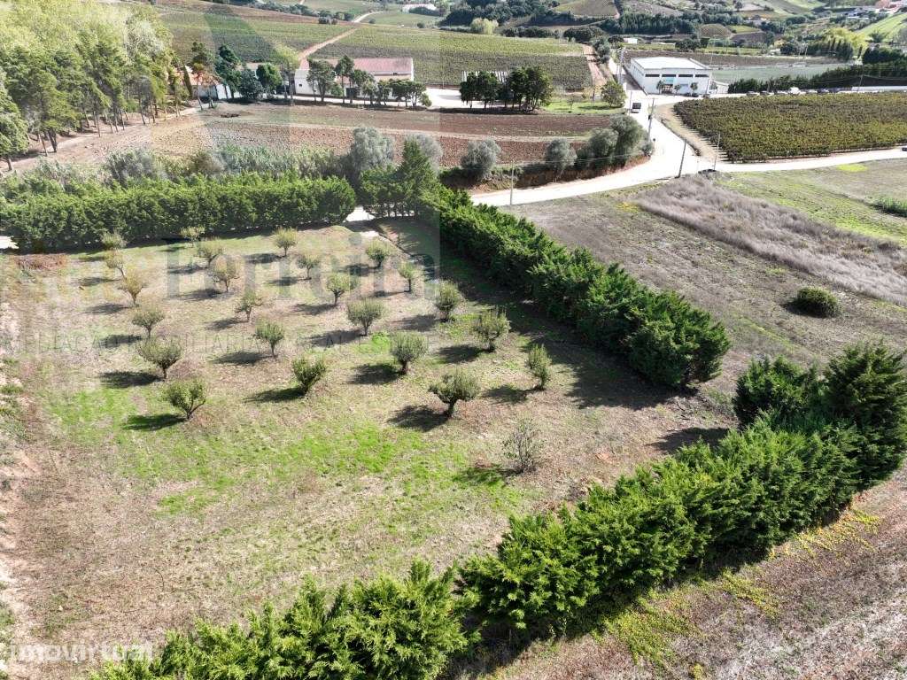 Terreno urbano no Turcifal Torres Vedras! - Grande imagem: 2/7