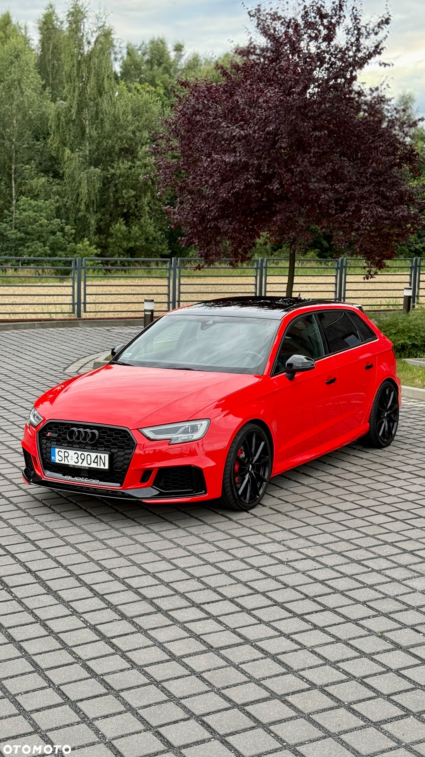 Audi RS3 Sportback 2.5 TFSI Quattro S tronic - 2