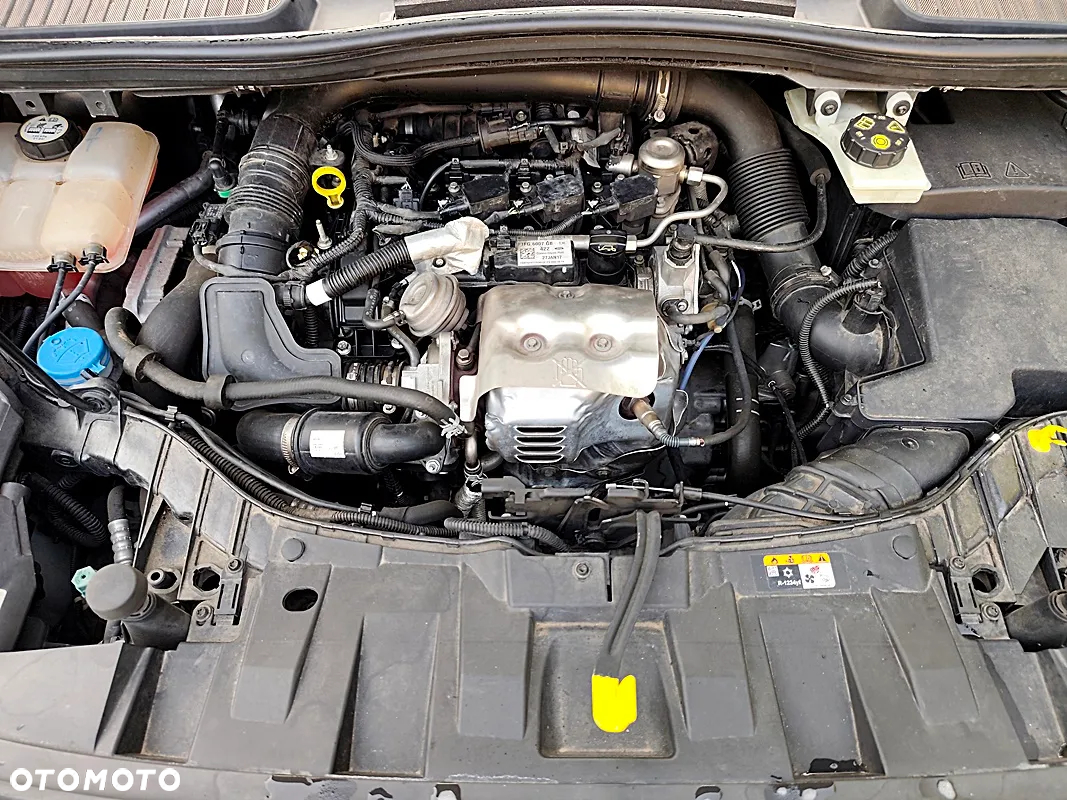 Ford C-MAX 1.0 EcoBoost Titanium ASS - 8