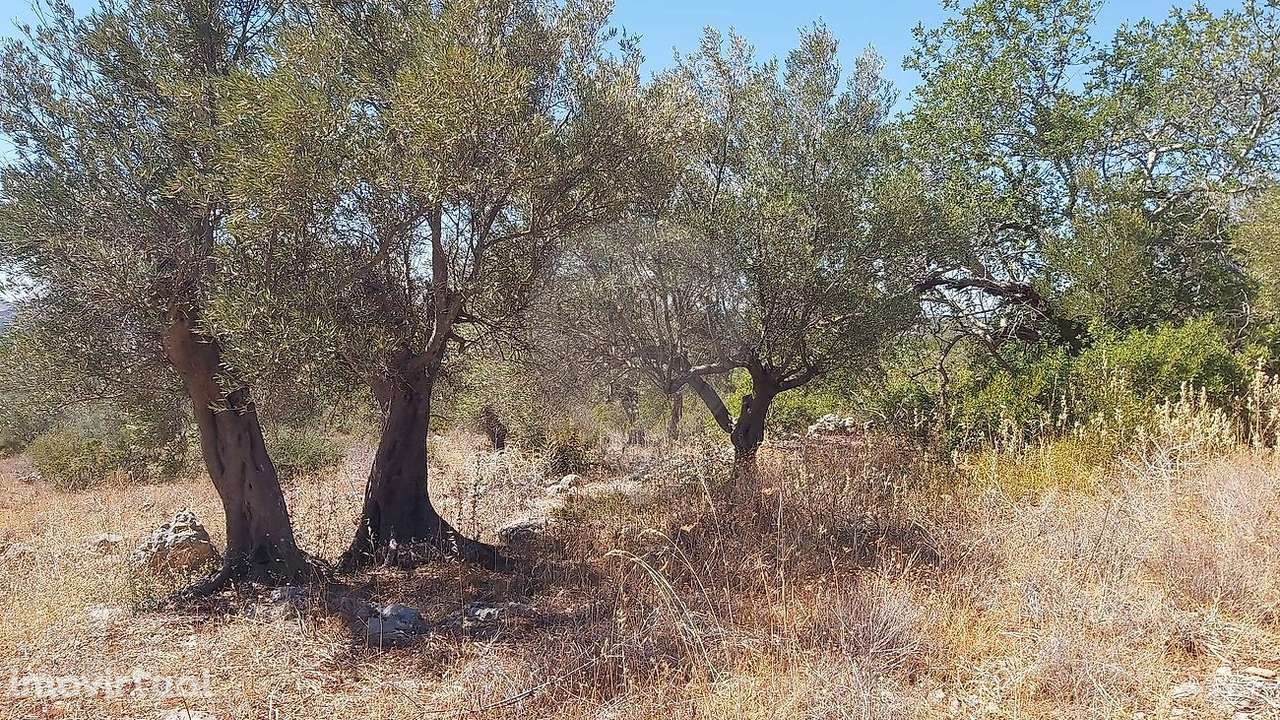 Terreno  para venda - Grande imagem: 3/8