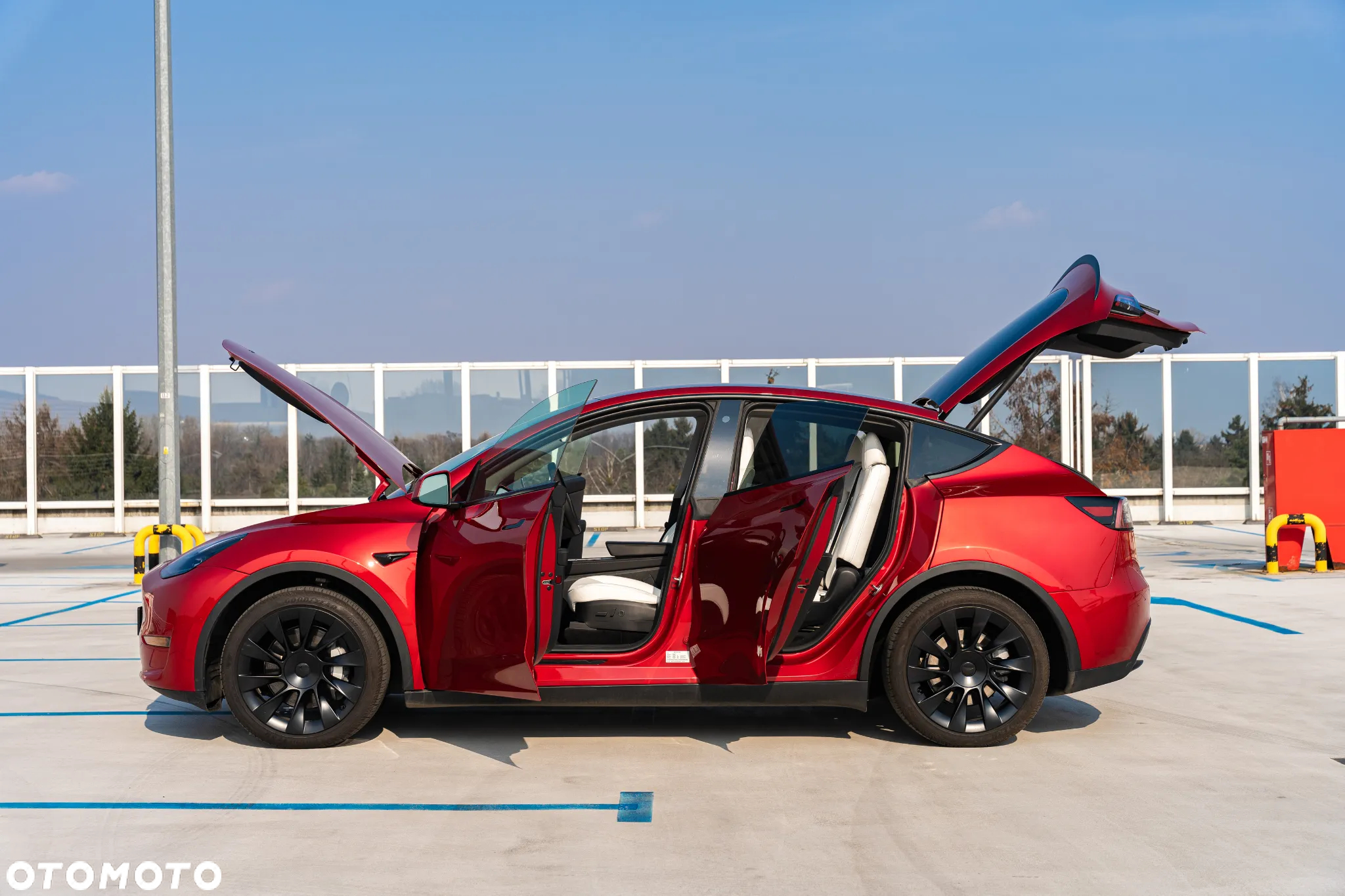 Tesla Y 83.1kWh Long Range AWD - 30
