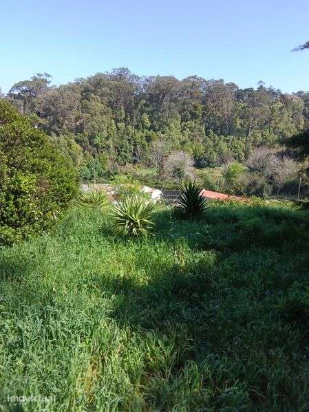 Lote terreno Vila Sintra - Grande imagem: 3/9