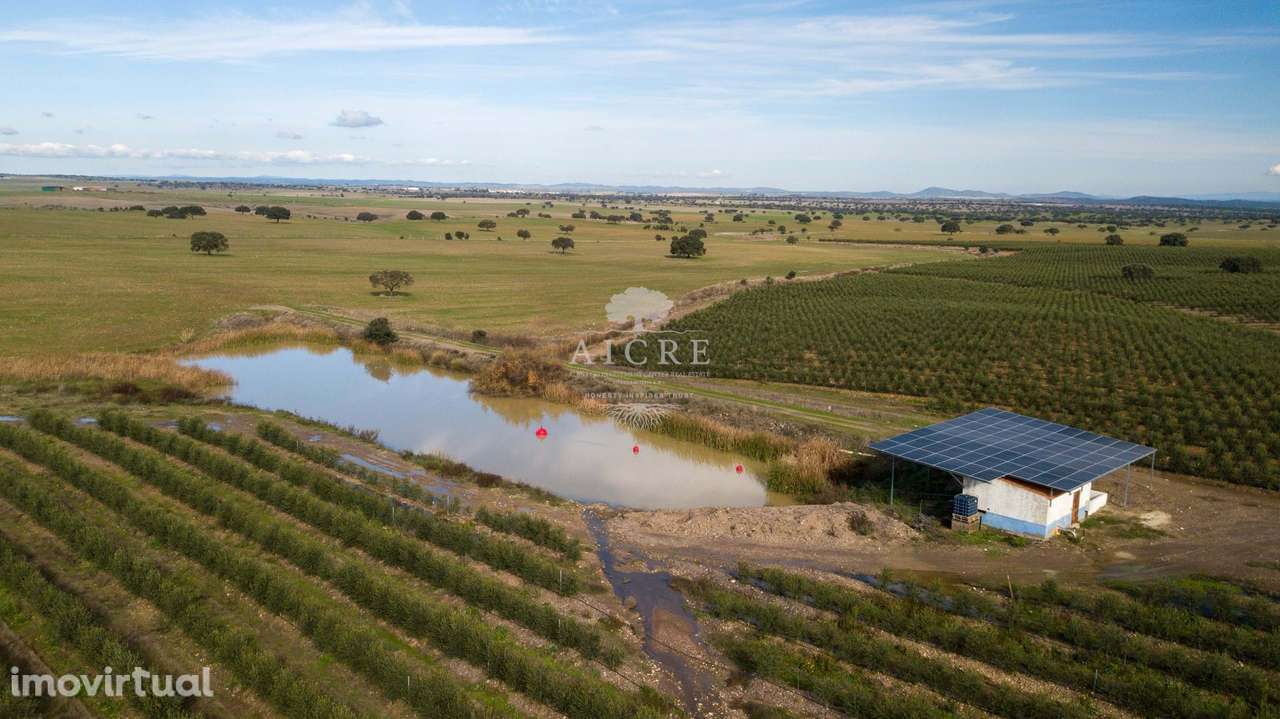 Herdade Alentejo - Grande imagem: 4/60