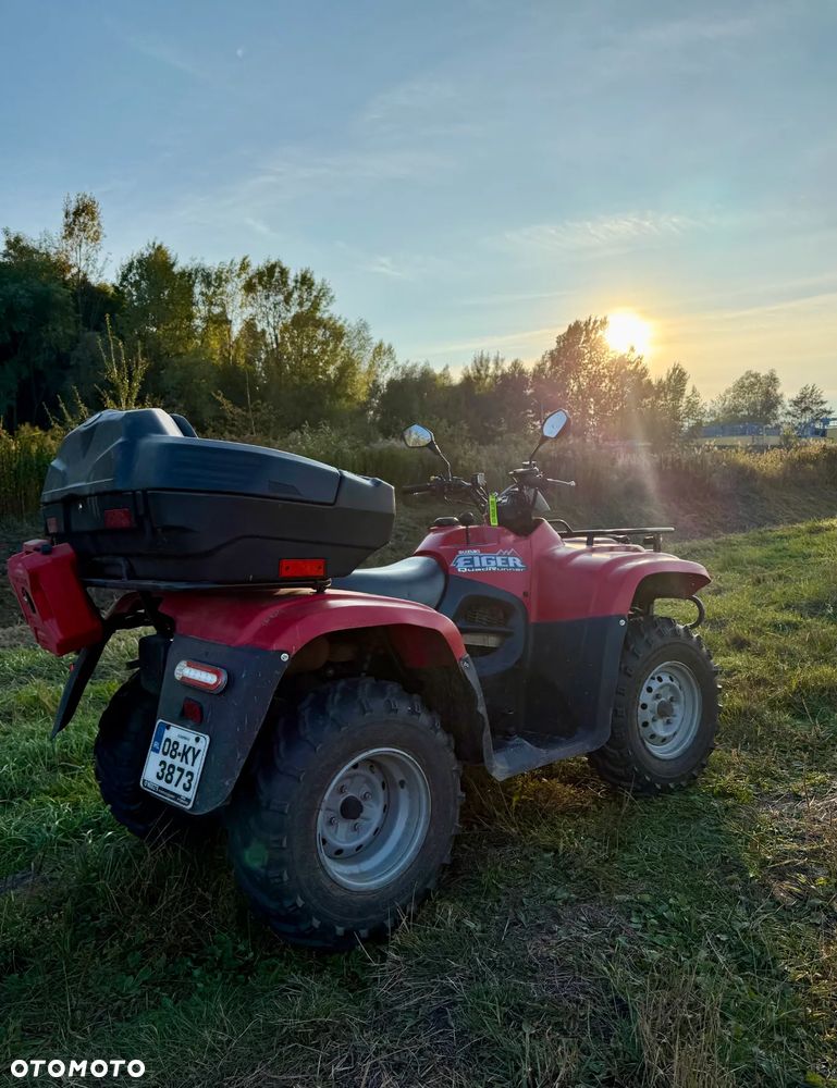 Suzuki Kingquad - 10