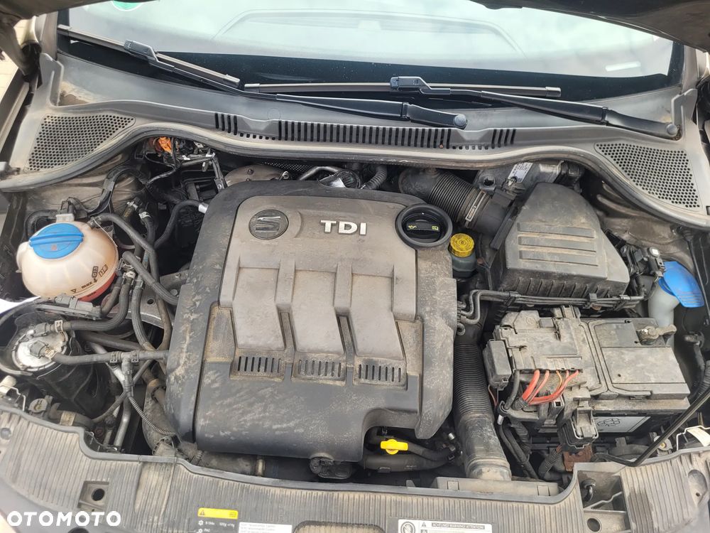 Seat Ibiza - 35