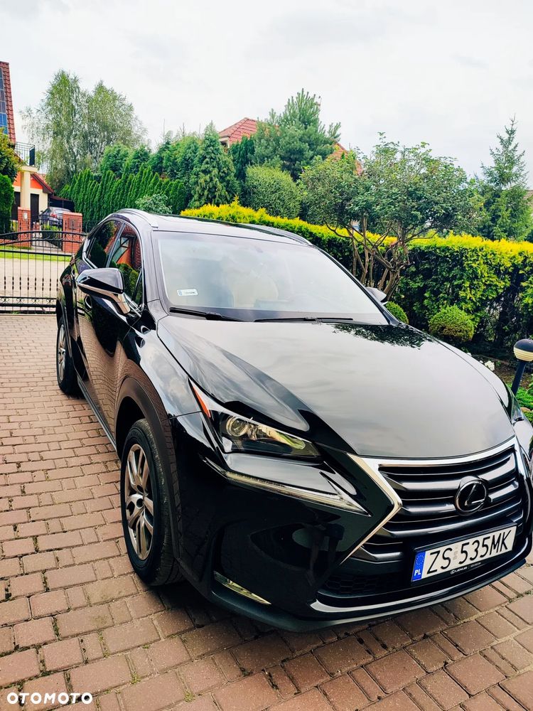 Lexus NX - 2