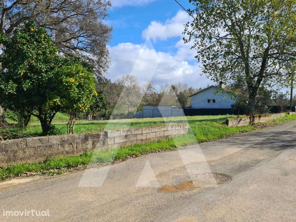 Terreno para Construção em Fermentões - Valongo do Vouga - Grande imagem: 4/18