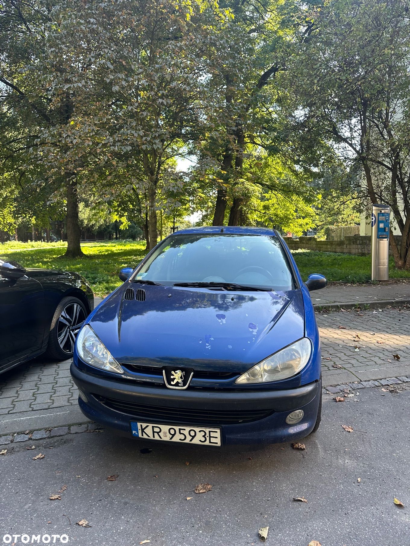 Peugeot 206 - 1