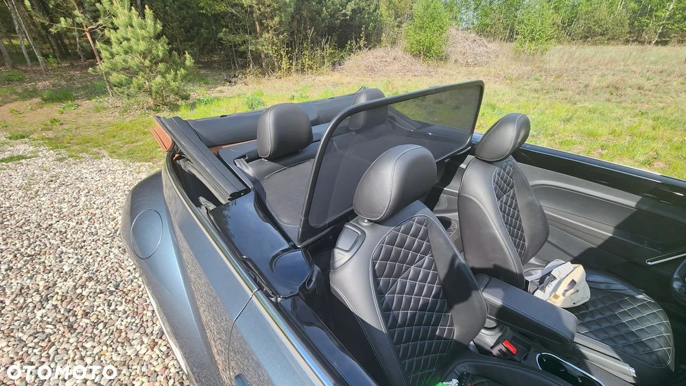 Volkswagen Beetle - 11