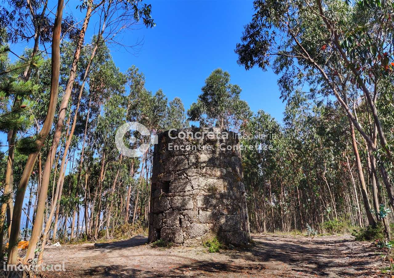 Moinho histórico em Guimarães - Grande imagem: 3/12