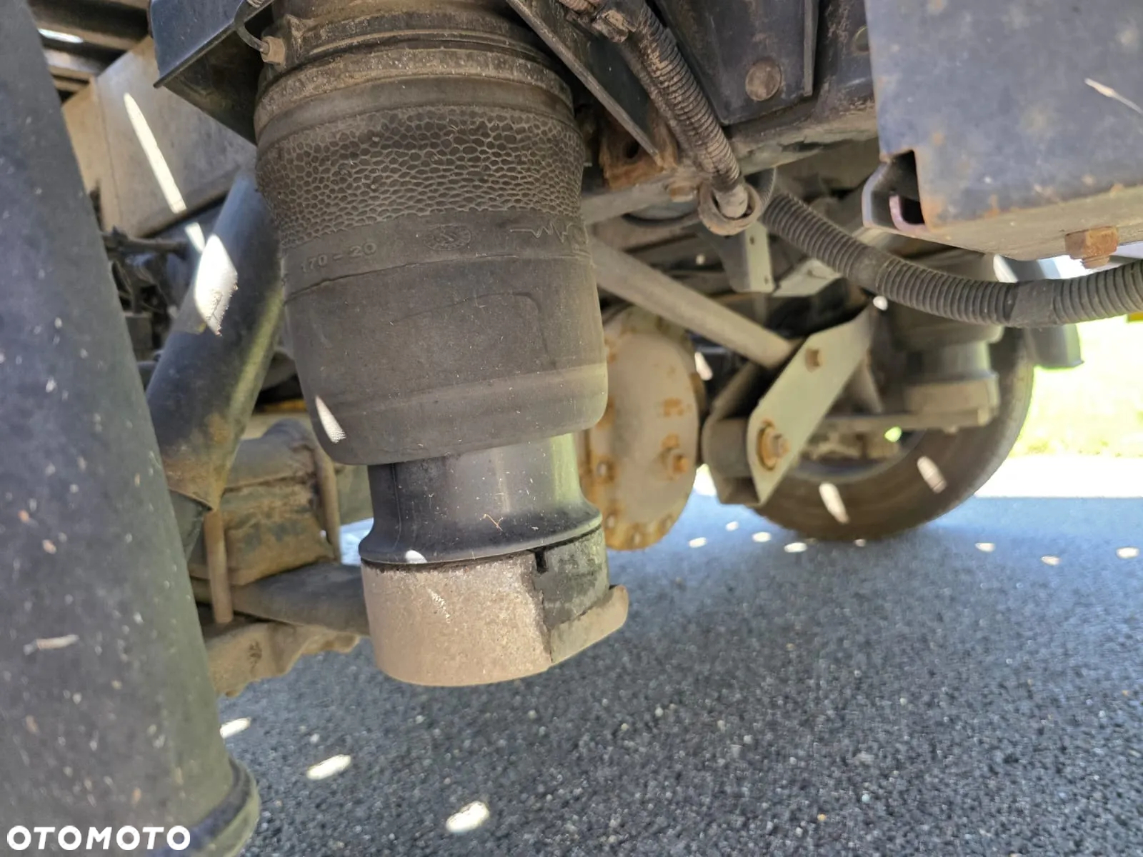 Iveco 35S18 - 10
