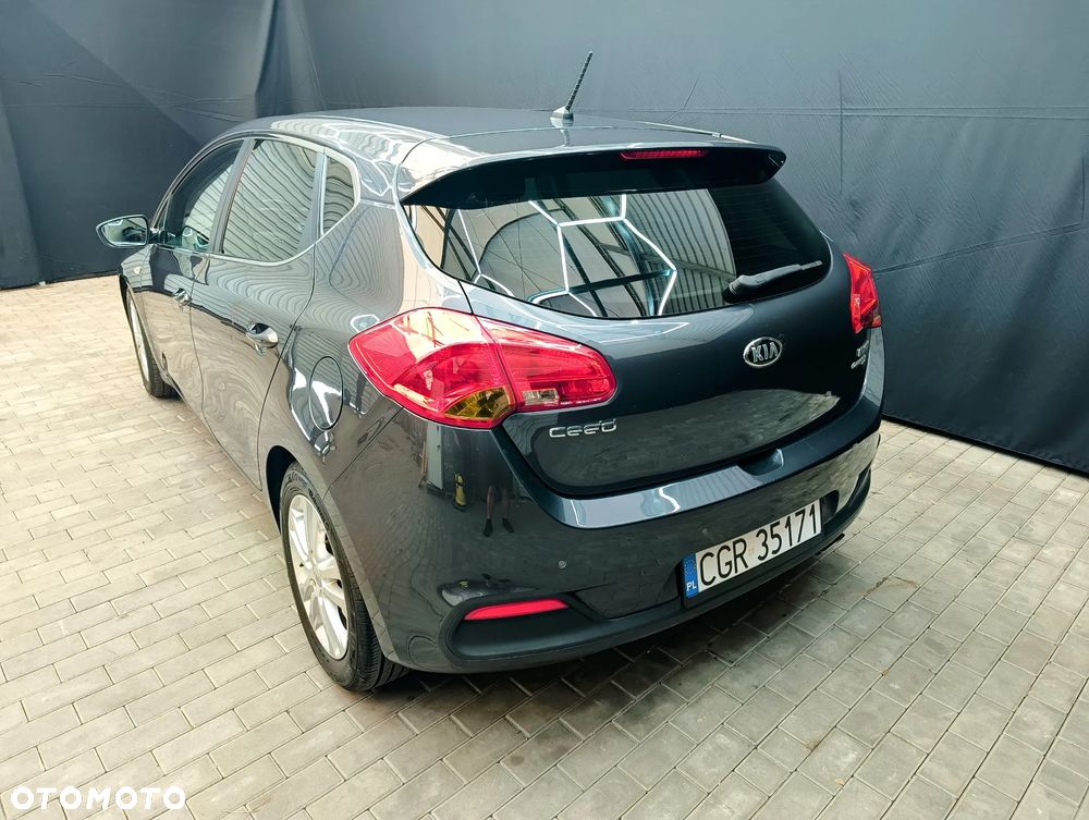 Kia Ceed 1.6 CRDi 128 Fifa World Cup Edition - 12