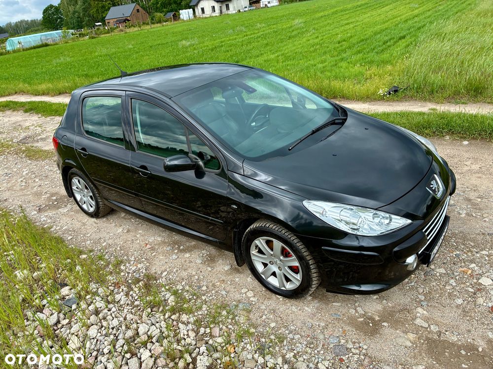 Peugeot 307 - 13