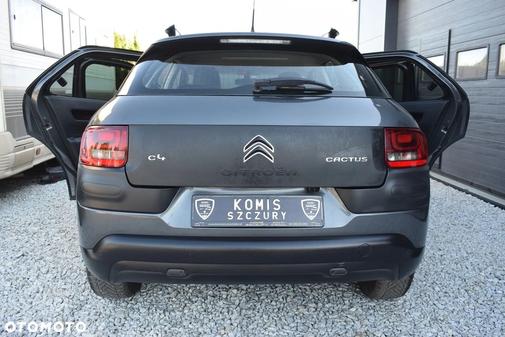 Citroën C4 Cactus Pure Tech 110 Stop&Start Rip Curl - 17