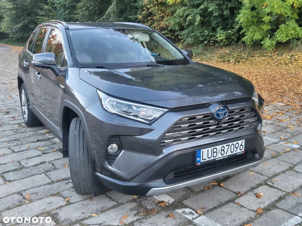 Toyota RAV4 2.5 Hybrid Executive 4x4 - 2