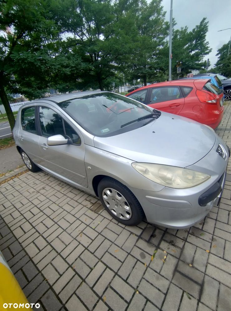 Peugeot 307 - 4