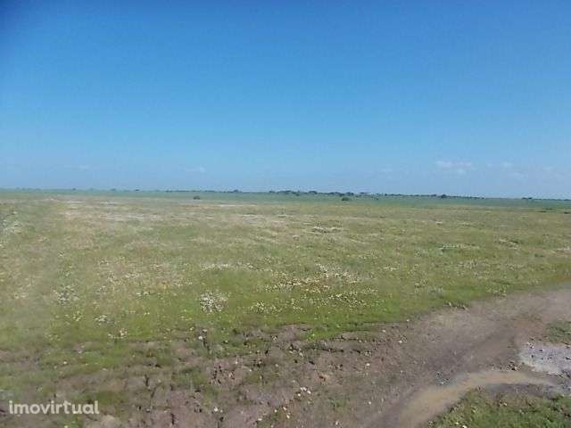 Terreno Agrícola viabilidade construção 5,15ha - Grande imagem: 4/8