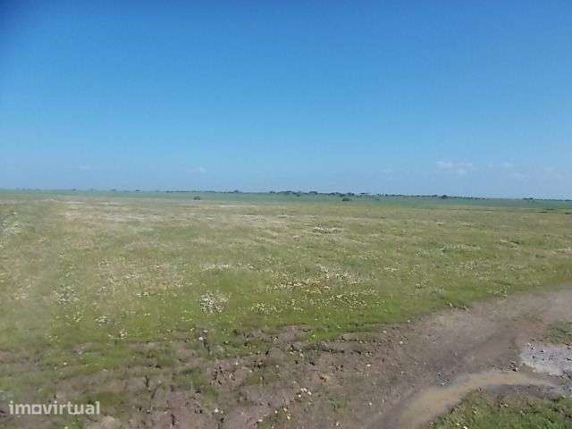 Terreno Agrícola viabilidade construção 5,15ha - Grande imagem: 4/8