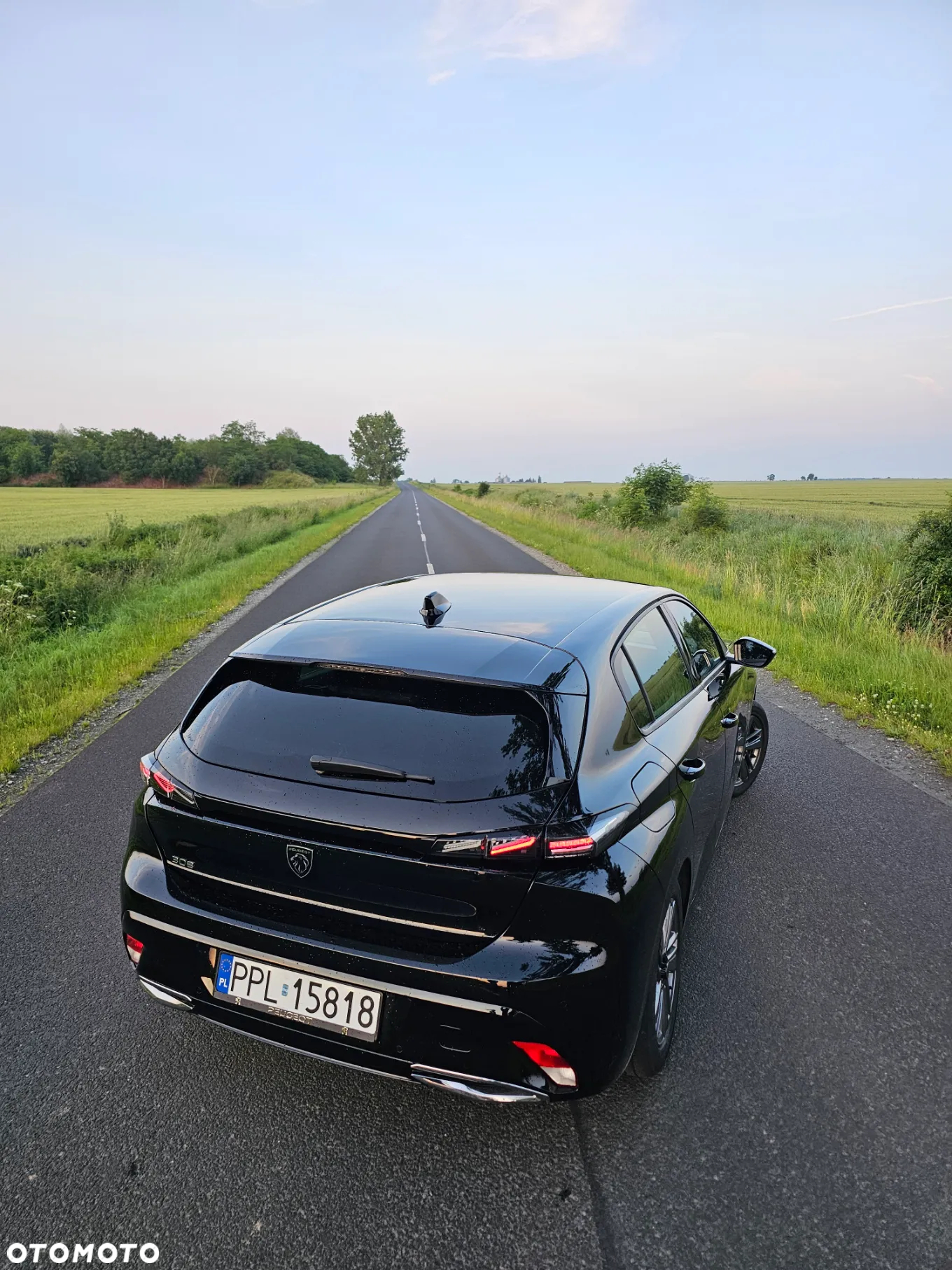 Peugeot 308 1.5 BlueHDi Allure S&S EAT8 - 3