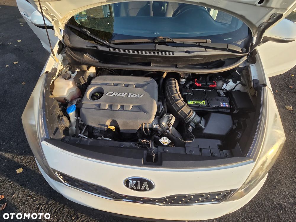 Kia Rio - 19