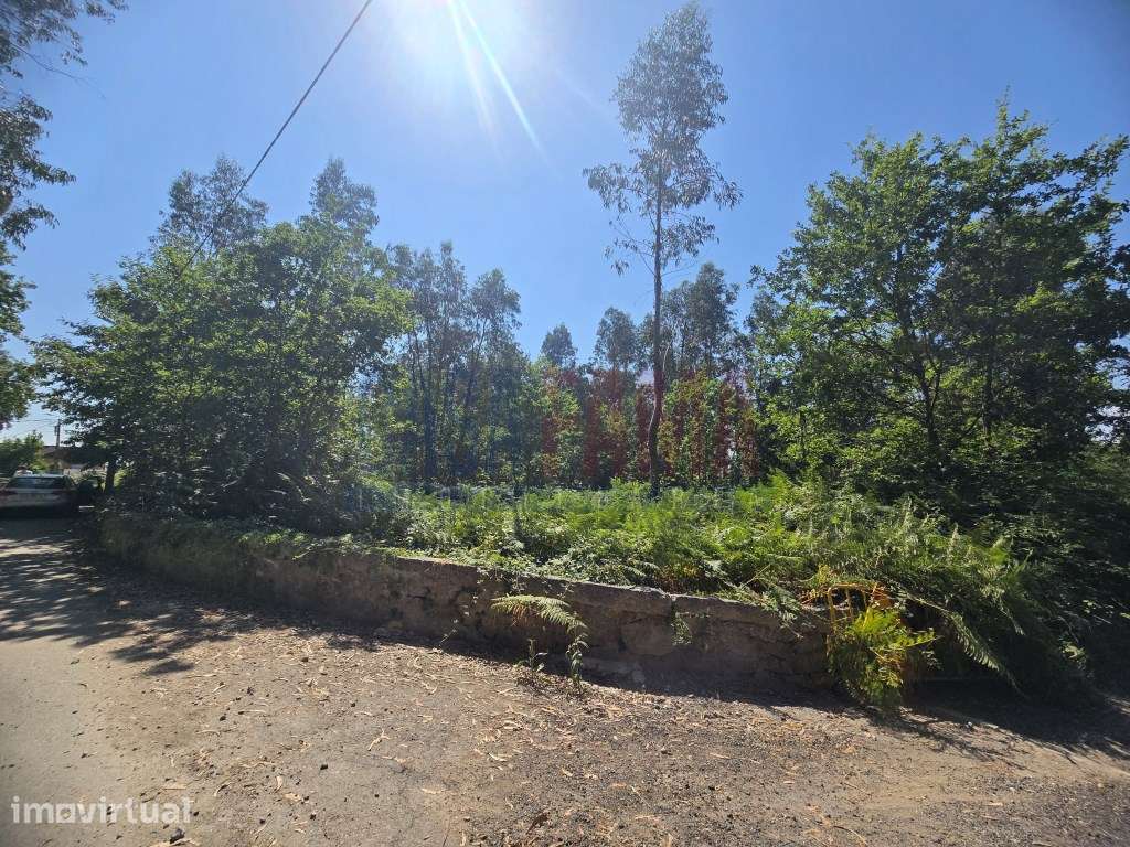 TERRENO PARA VENDA | 8.500 m² | CARREIRA E BENTE - VILA NOVA DE FAM... - Grande imagem: 5/19