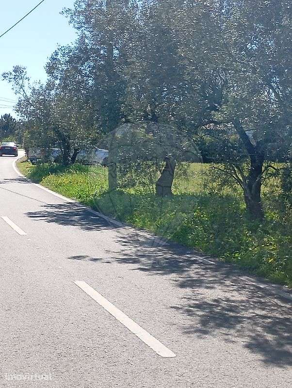 Terreno  para venda - Grande imagem: 3/9