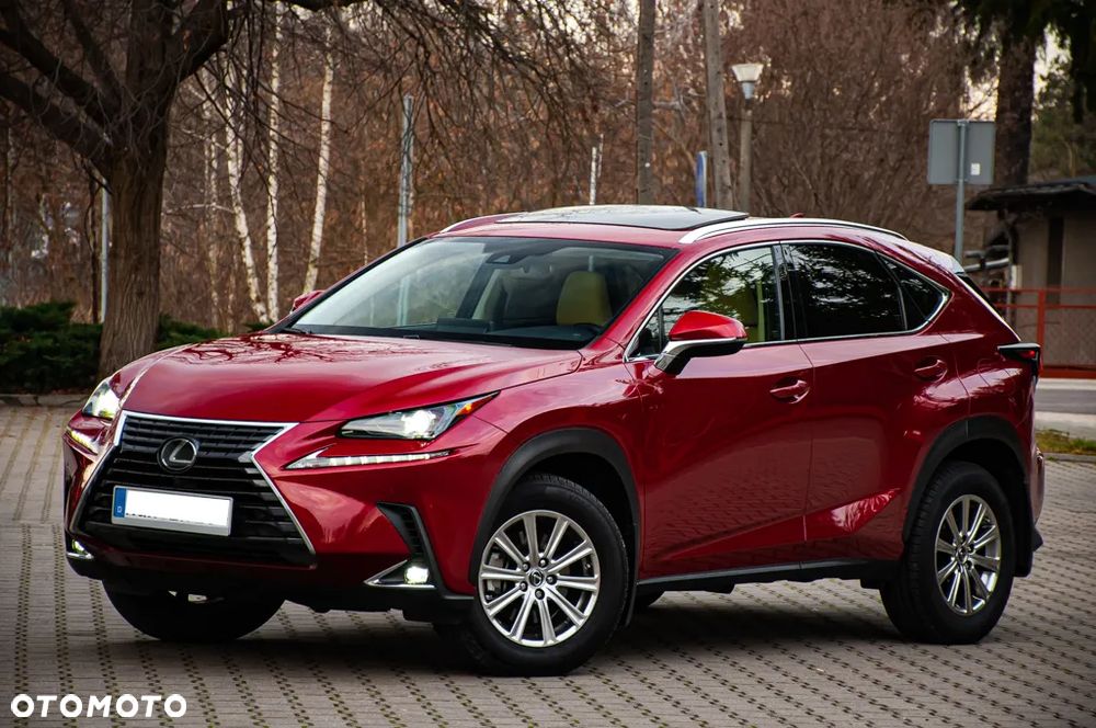 Lexus NX - 8