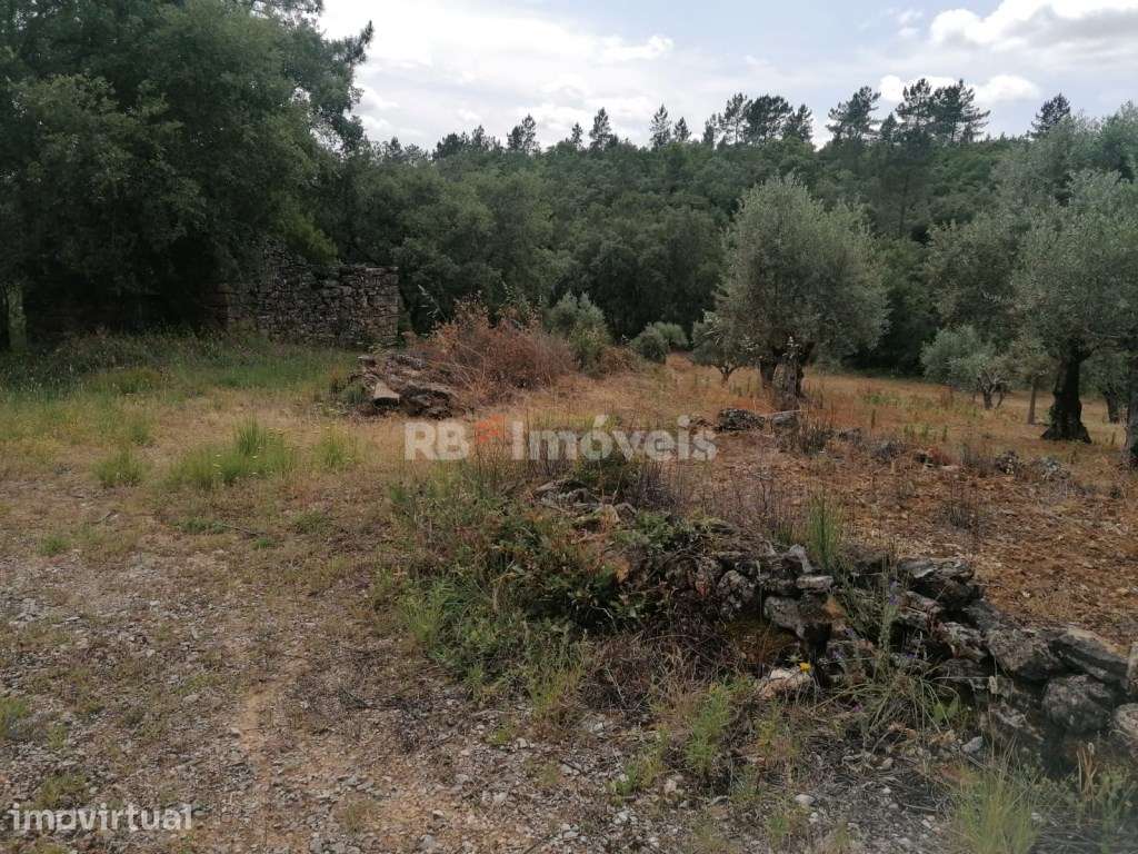 Dois terrenos rústicos com 4.074 m² - Carvalhal da Póvoa, Tomar - Grande imagem: 3/8